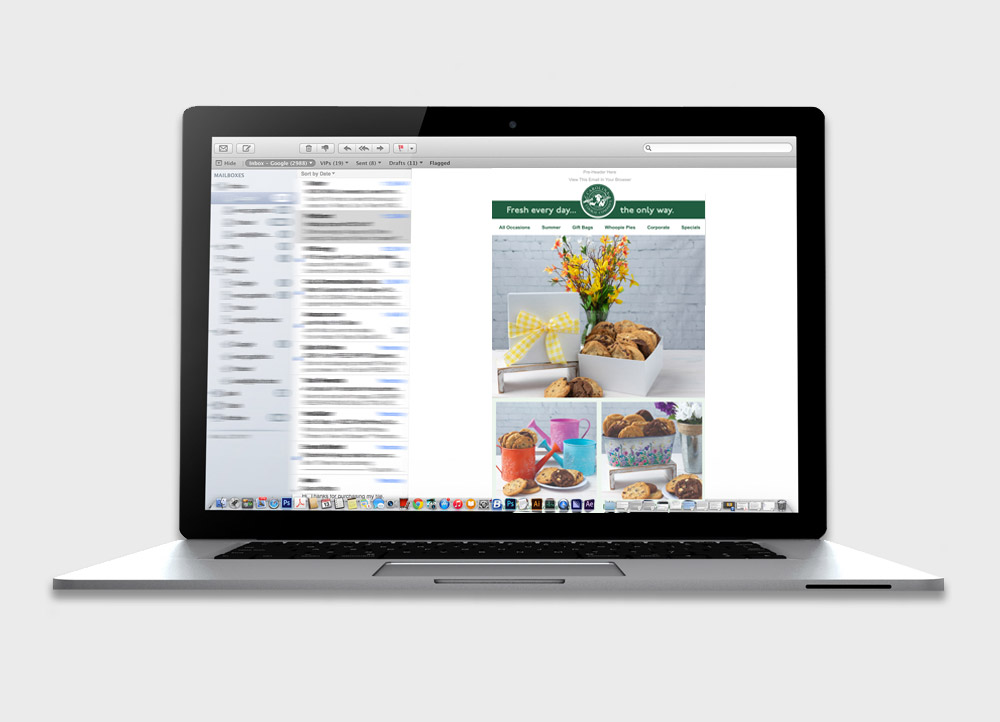 Email newsletter design and development